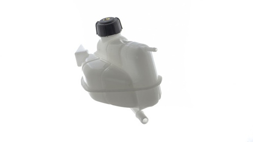 WATER BOTTLE NISSAN QASHQAI II 2013- | KADJAR 2015- (2 PIPE) WITH CAP