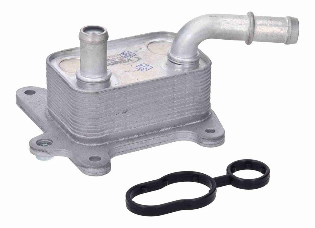 OIL COOLER RENAULT TRIBER 1.0 B4D 2019- | KIGER 1.0 B4D 2021-