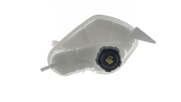 WATER BOTTLE NISSAN QASHQAI II 2013- | KADJAR 2015- (2 PIPE) WITH CAP